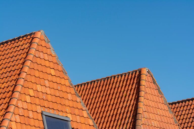 Photo by Jan van der Wolf on Pexels