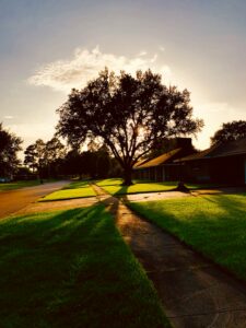 Photo by Joshua Breaux on Unsplash